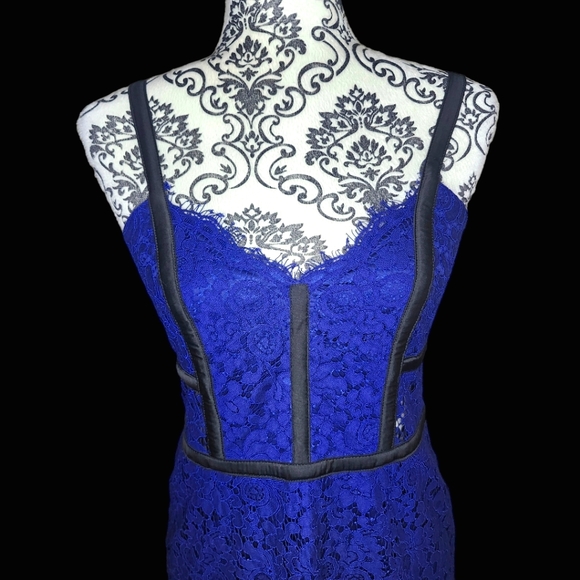 EXPRESS Blue Lace Knee Length Cocktail Dress- 6 - Picture 5 of 7